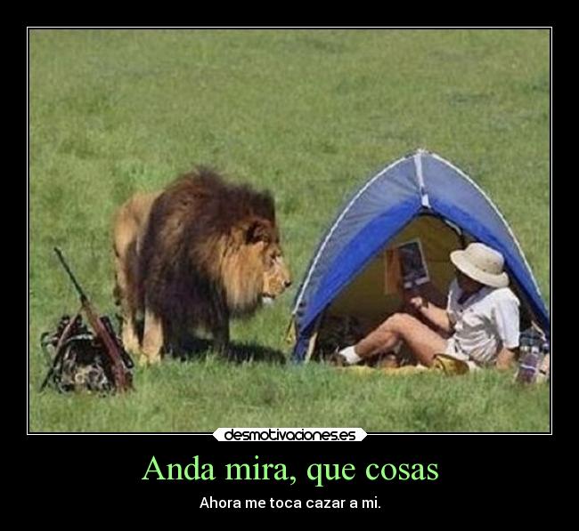 carteles animales humor desmotivaciones