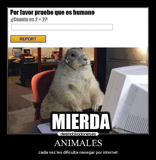 ANIMALES -