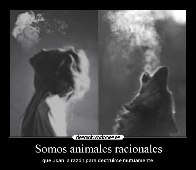 Somos animales racionales - que usan la razón para destruirse mutuamente.