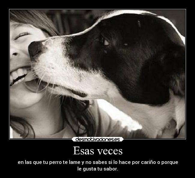 Esas veces - en las que tu perro te lame y no sabes si lo hace por cariño o porque
le gusta tu sabor.