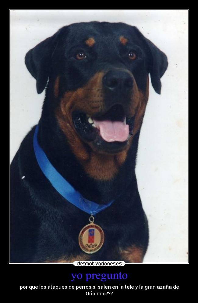 yo pregunto - por que los ataques de perros si salen en la tele y la gran azaña de
Orion no???