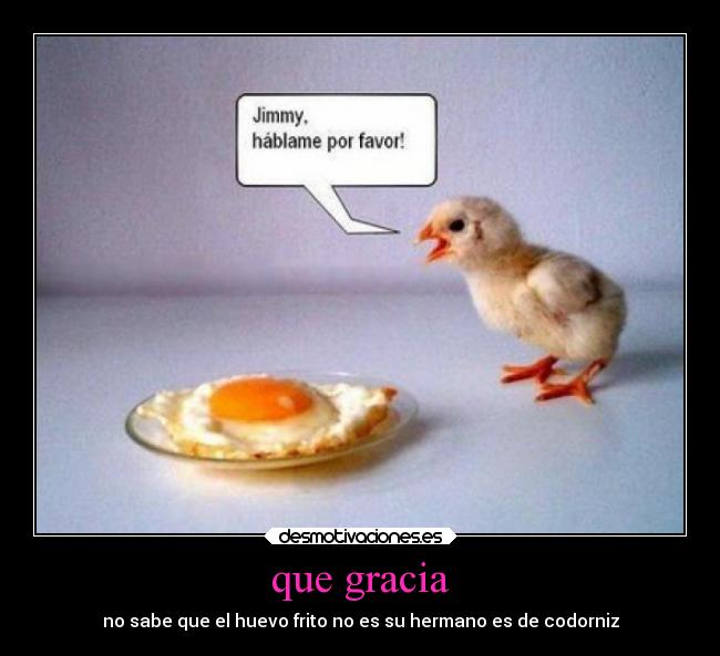 carteles animales pollito huevo desmotivaciones