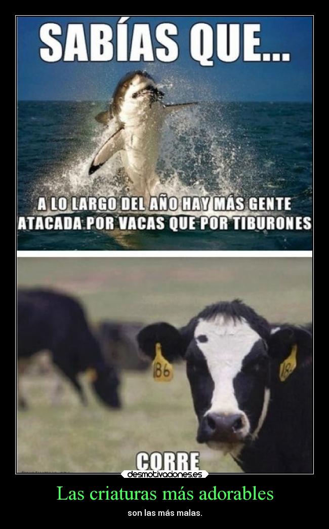 Las criaturas más adorables - 