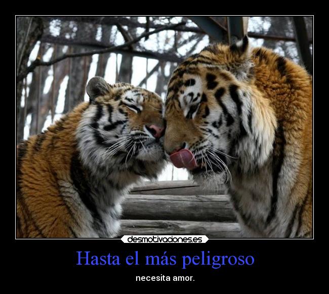 Hasta el más peligroso - necesita amor.