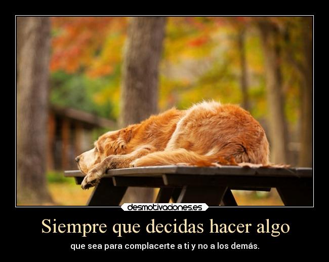 carteles animales vida ayuda carlosonestyle desmotivaciones