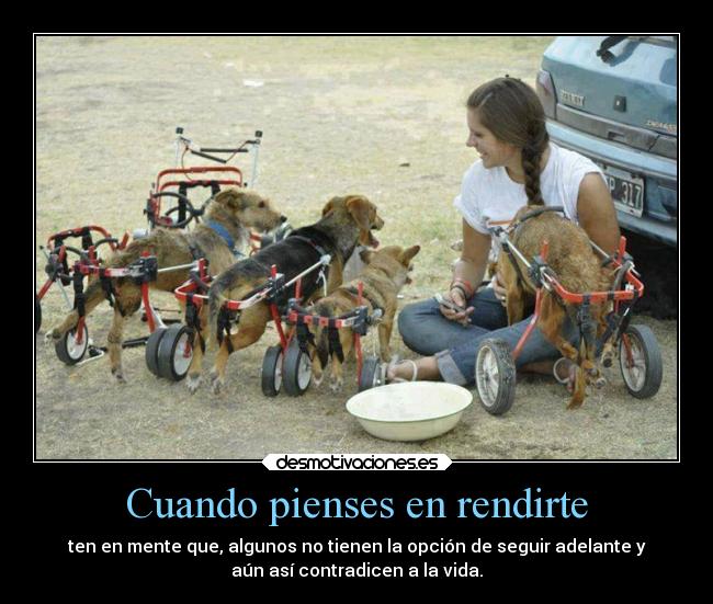 Cuando pienses en rendirte - ten en mente que, algunos no tienen la opción de seguir adelante y
aún así contradicen a la vida.