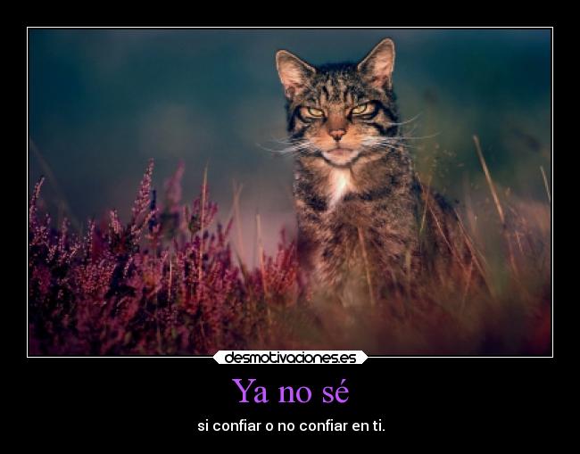 Ya no sé -
