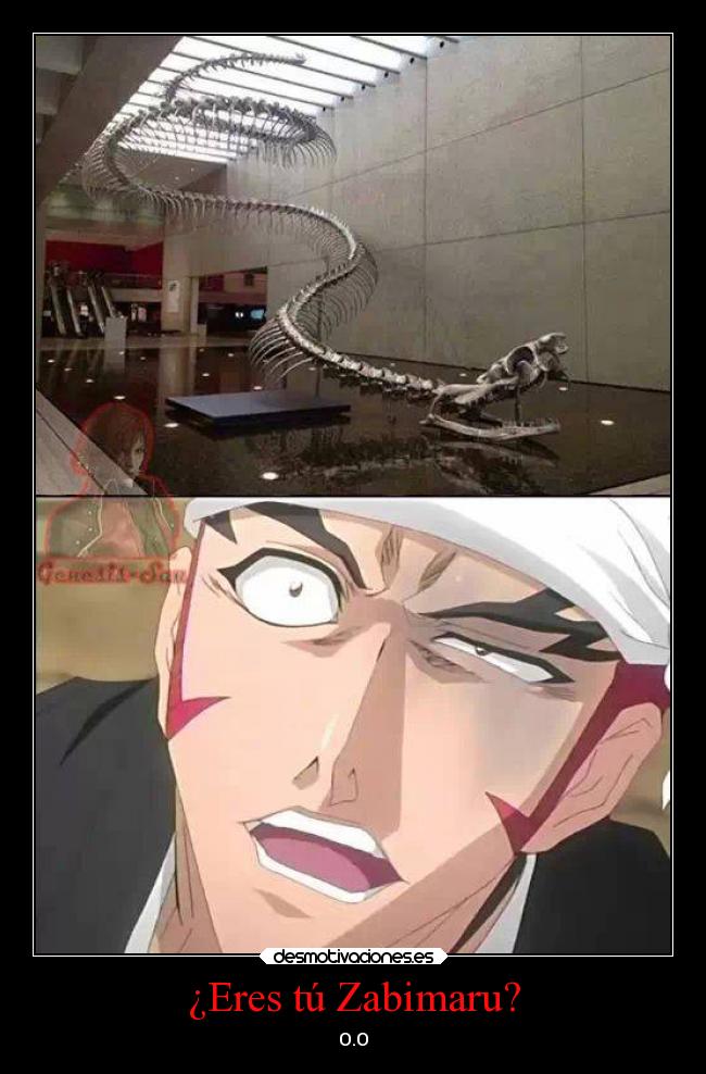 ¿Eres tú Zabimaru? - 