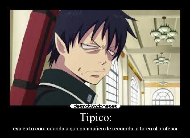 Tipico: -