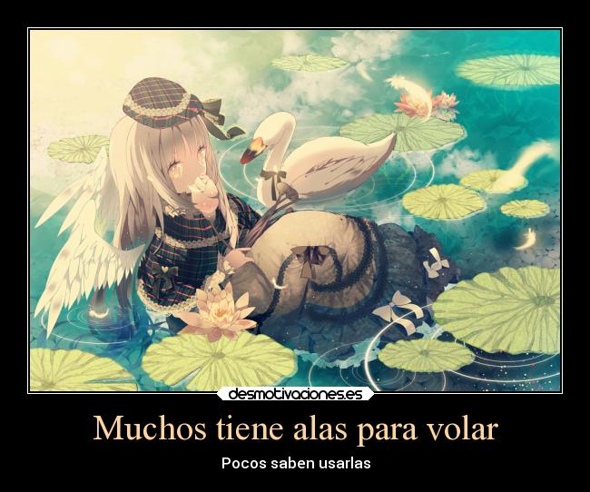 Muchos tiene alas para volar - Pocos saben usarlas