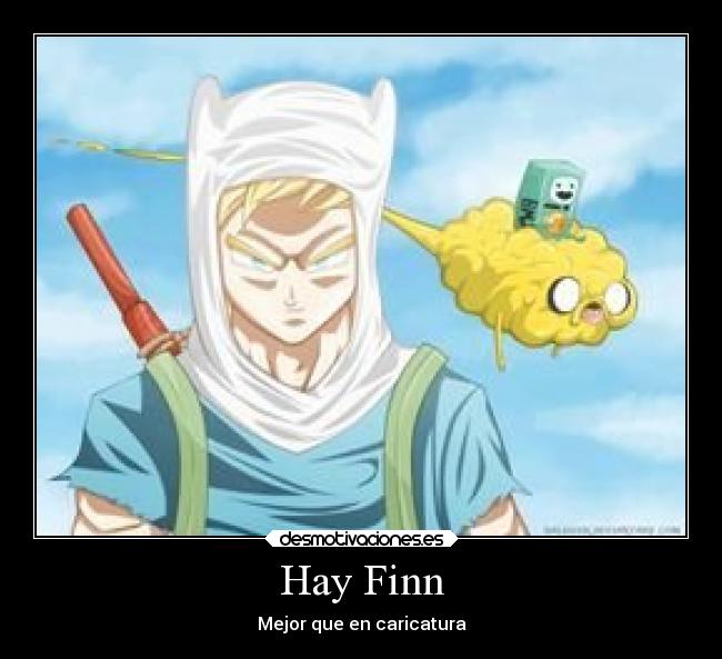 Hay Finn -