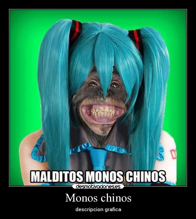 Monos chinos -