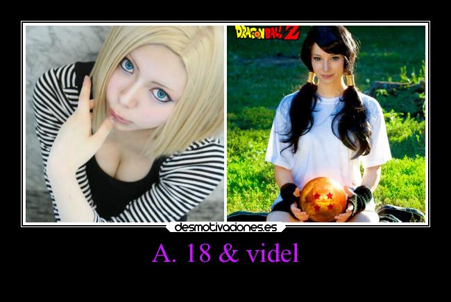 A. 18 & videl -