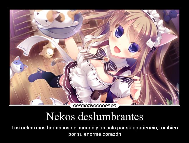 carteles anime desmotivaciones