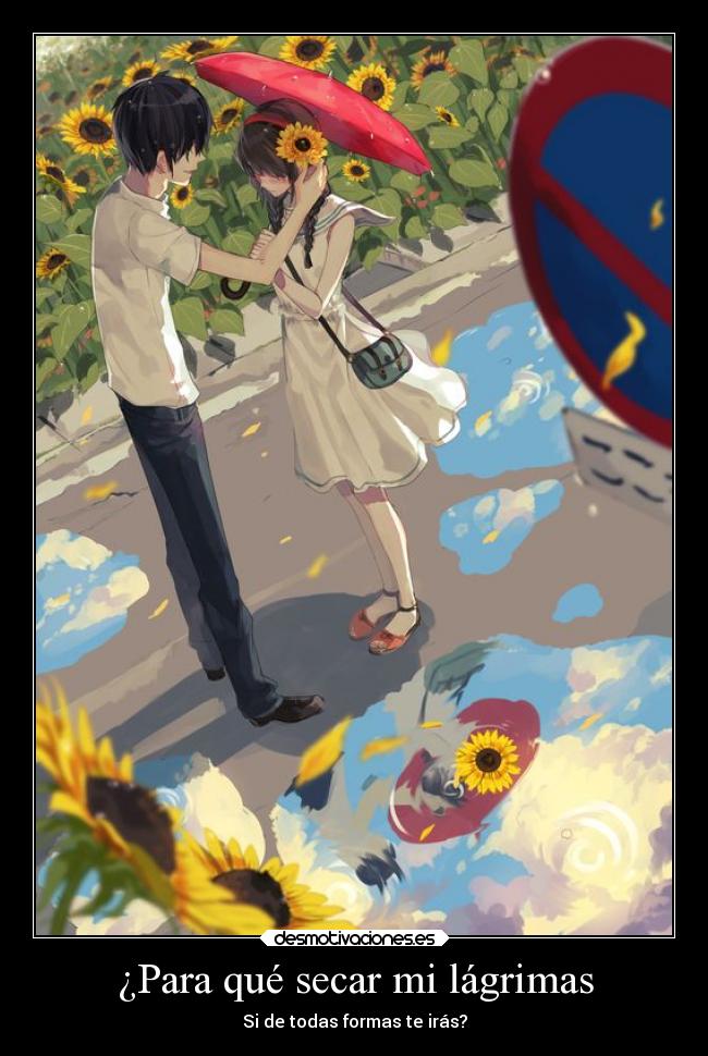 ¿Para qué secar mi lágrimas - Si de todas formas te irás?