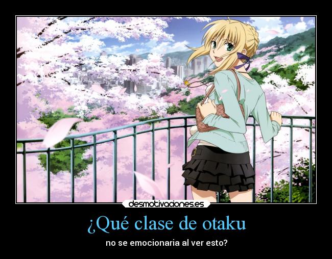 ¿Qué clase de otaku - no se emocionaria al ver esto?