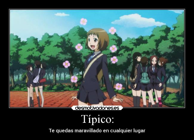 Típico: - Te quedas maravillado en cualquier lugar