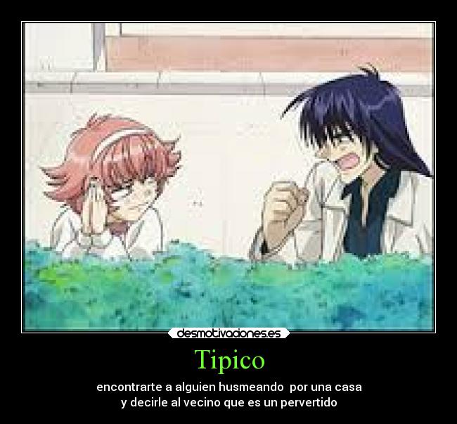 Tipico -