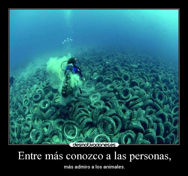 Entre más conozco a las personas, - 