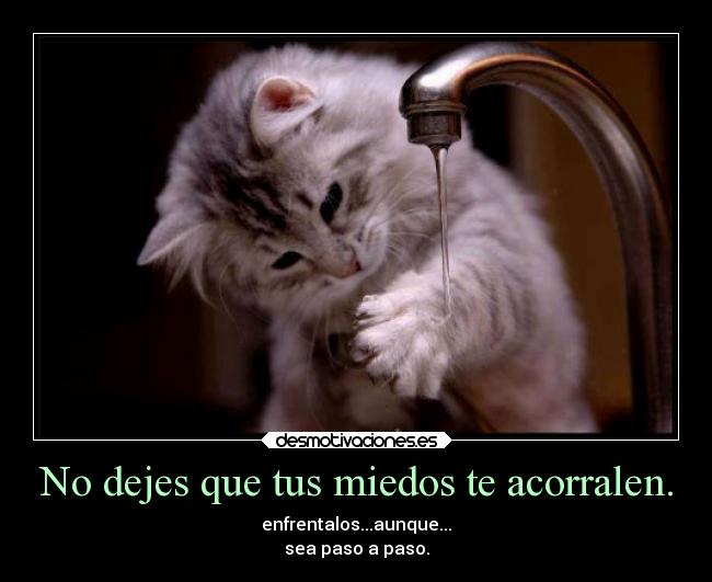 No dejes que tus miedos te acorralen. - enfrentalos...aunque...
sea paso a paso.