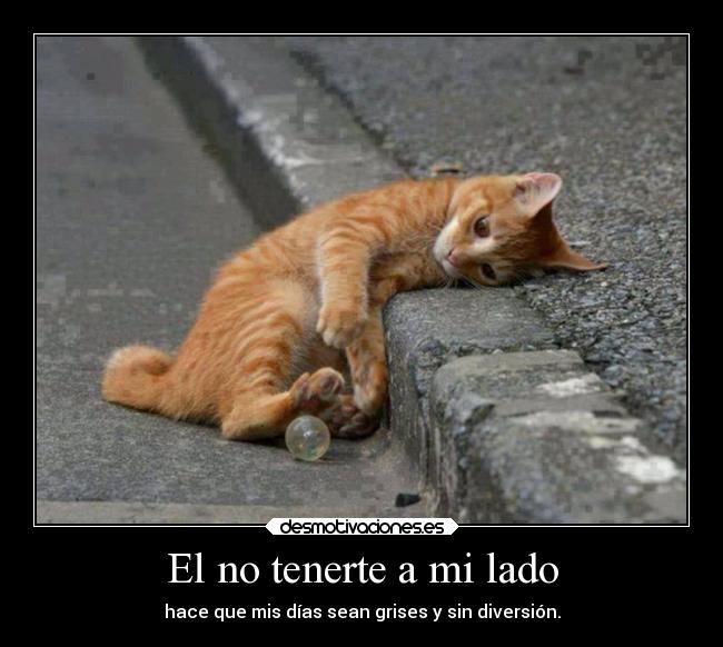 El no tenerte a mi lado - hace que mis días sean grises y sin diversión.