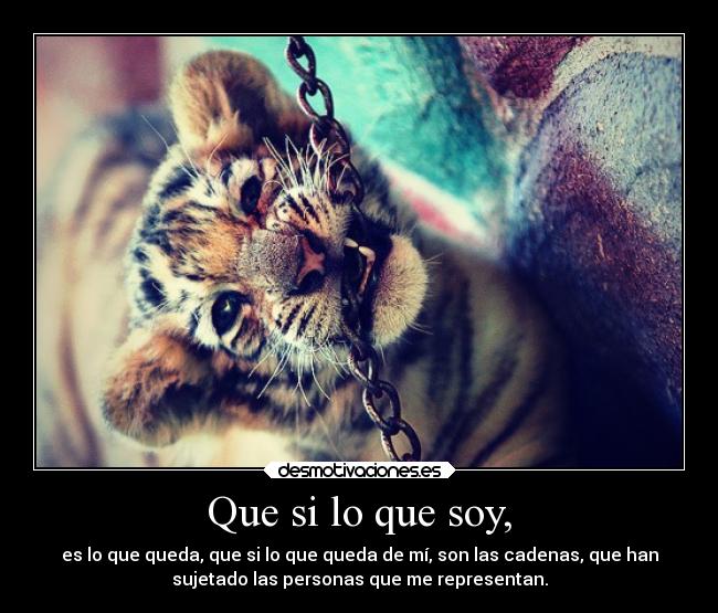 Que si lo que soy, - es lo que queda, que si lo que queda de mí, son las cadenas, que han
sujetado las personas que me representan.