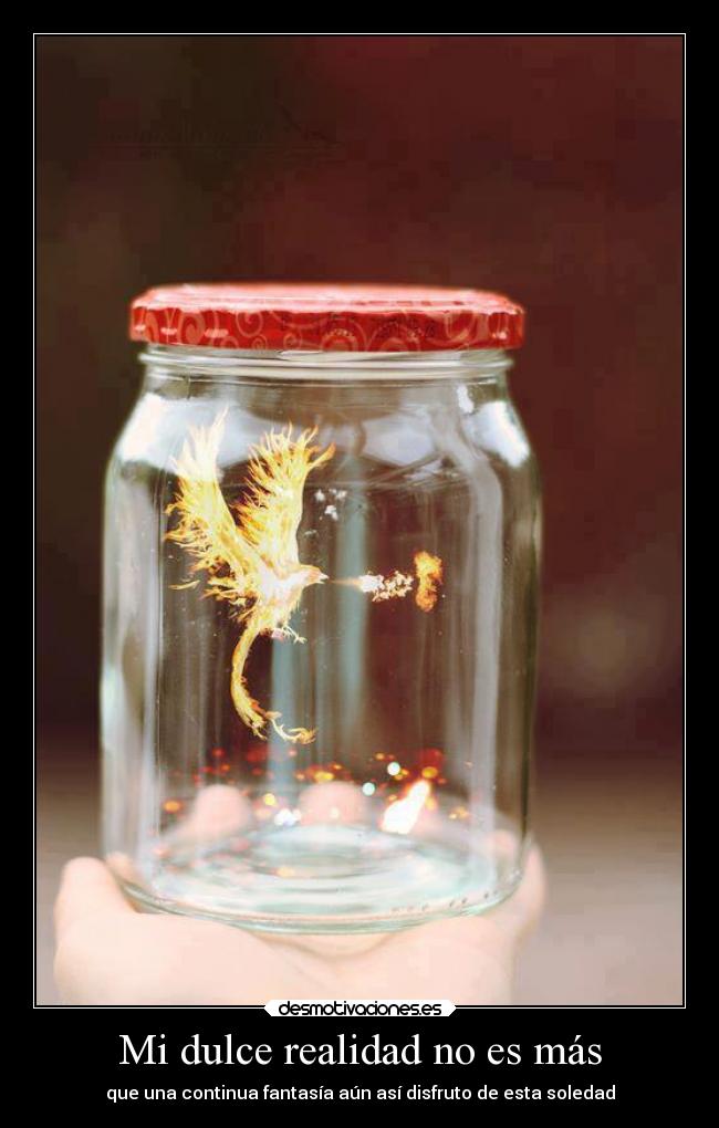 Mi dulce realidad no es más - que una continua fantasía aún así disfruto de esta soledad