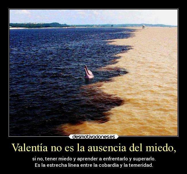 Valentía no es la ausencia del miedo, - 