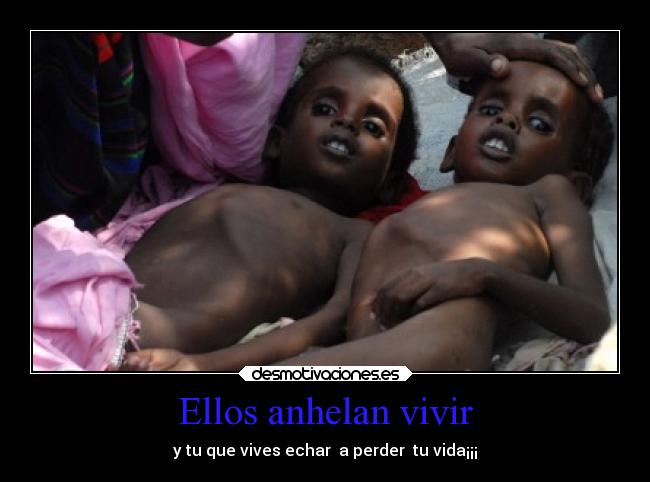 Ellos anhelan vivir - y tu que vives echar a perder tu vida¡¡¡