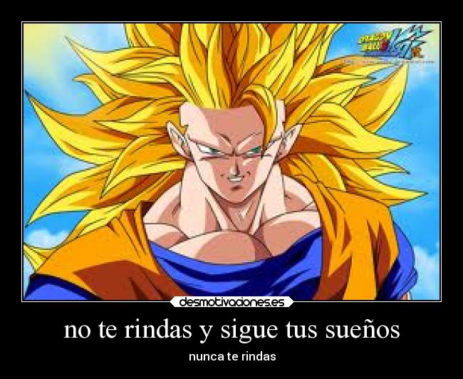 no te rindas y sigue tus sueños - nunca te rindas