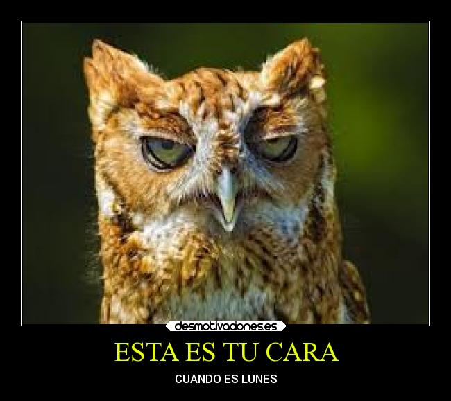 ESTA ES TU CARA - CUANDO ES LUNES