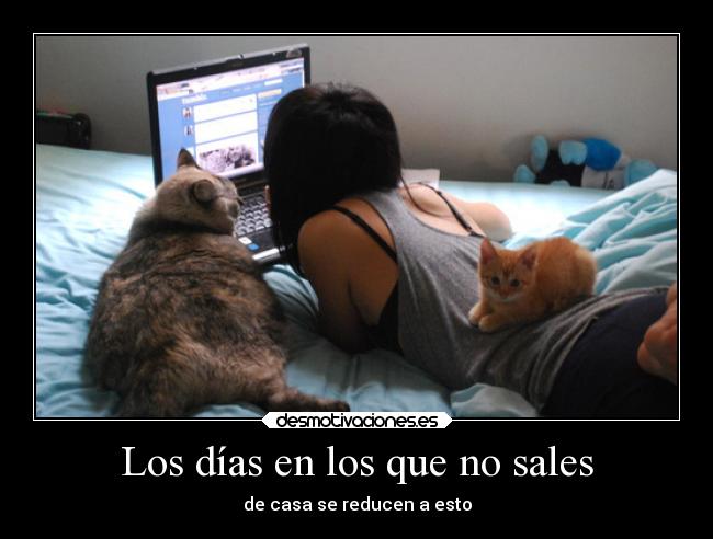 carteles bogota desmotivaciones