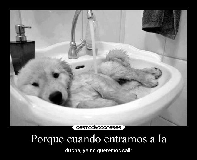 Porque cuando entramos a la - ducha, ya no queremos salir