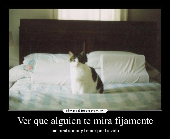 Ver que alguien te mira fijamente -