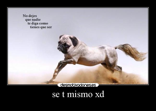 se t mismo xd -