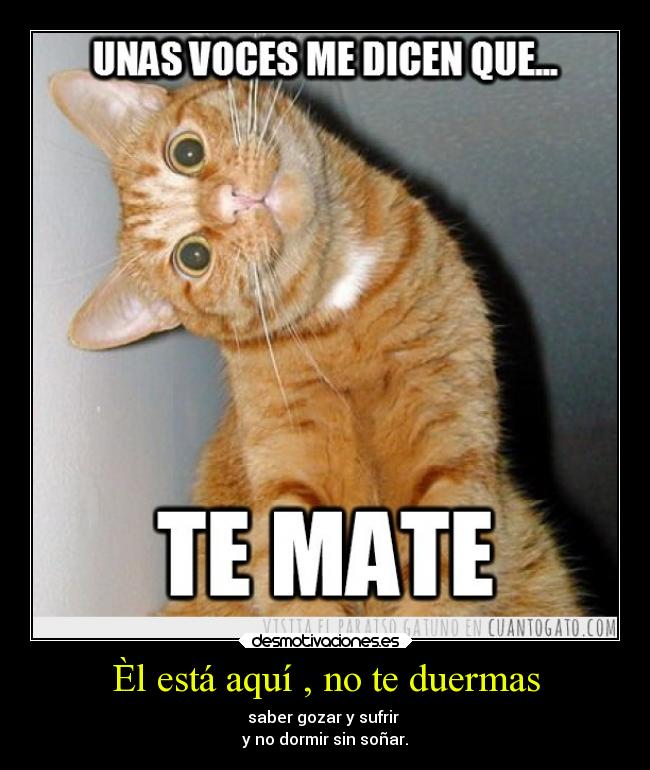 Èl está aquí , no te duermas -