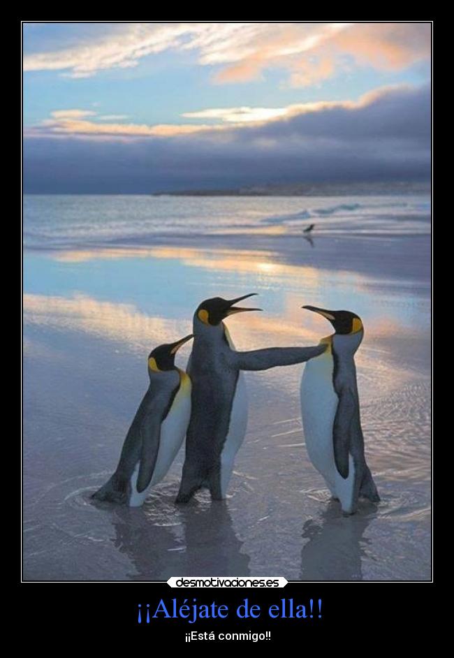 ¡¡Aléjate de ella!! - ¡¡Está conmigo!!
