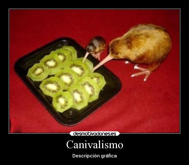 Canivalismo -