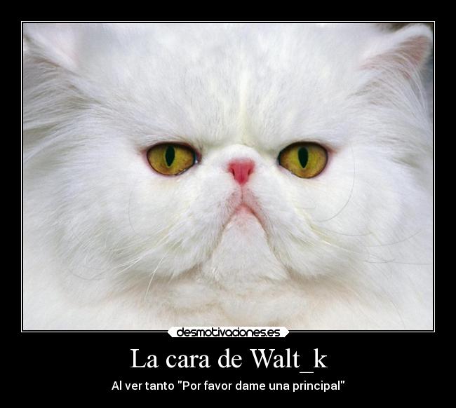La cara de Walt_k - 
