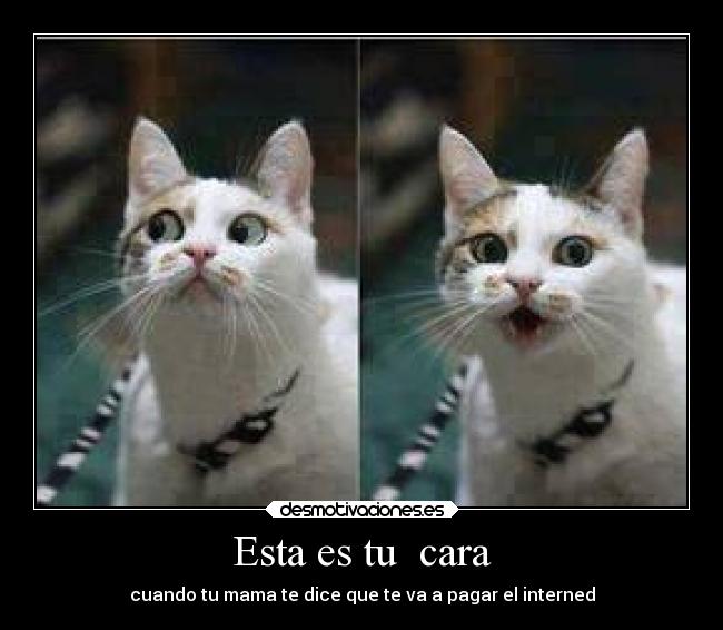 Esta es tu cara - cuando tu mama te dice que te va a pagar el interned