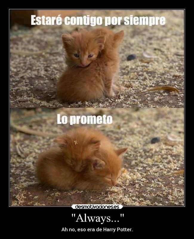 Always... - Ah no, eso era de Harry Potter.