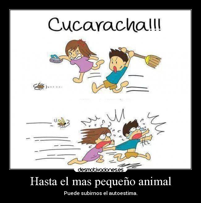 Hasta el mas pequeño animal - 