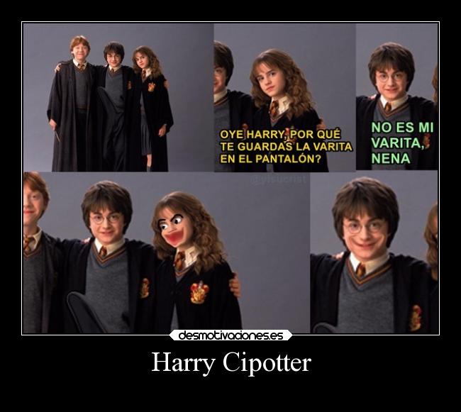 Harry Cipotter -