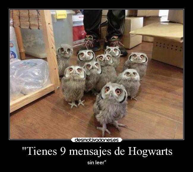 Tienes 9 mensajes de Hogwarts - 