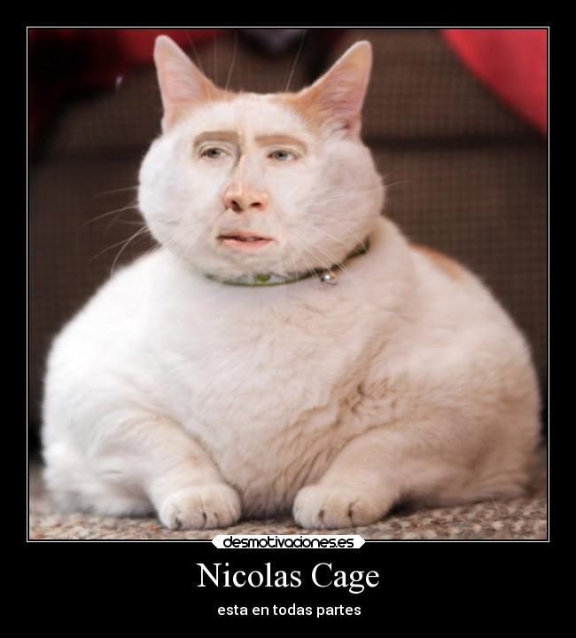 carteles cine nicolas cage desmotivaciones