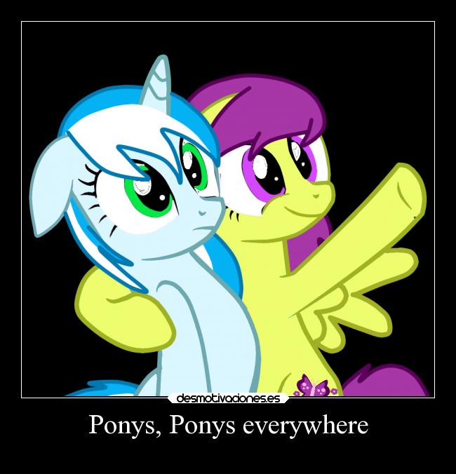 Ponys, Ponys everywhere -