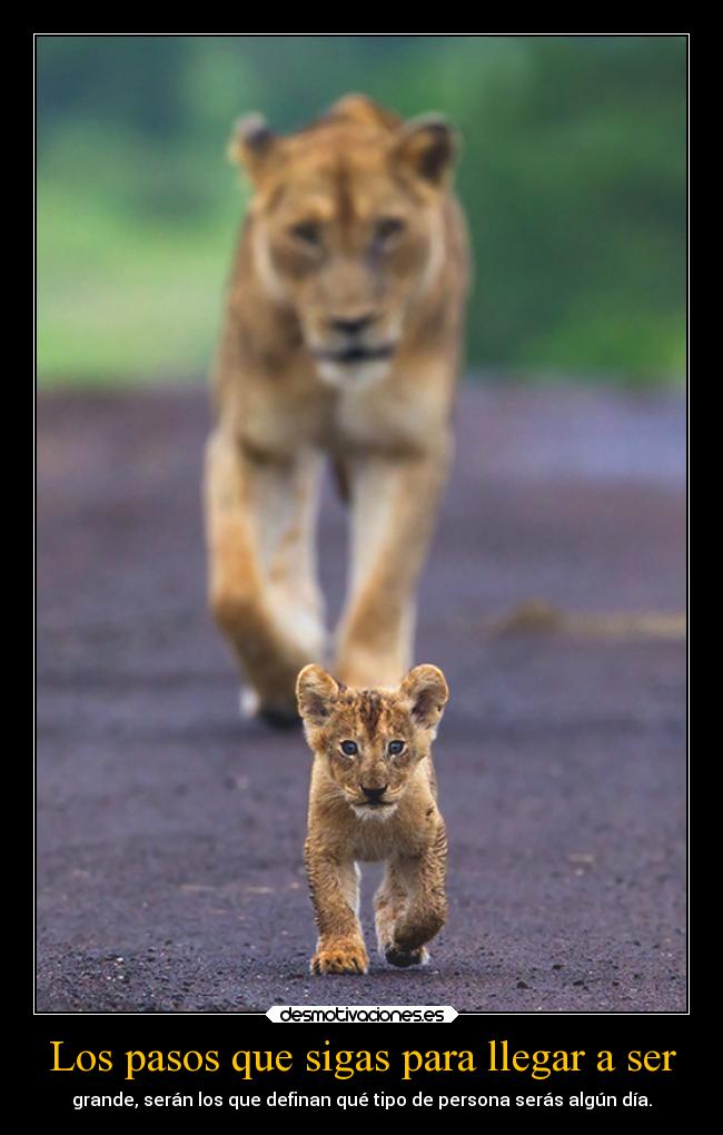 Los pasos que sigas para llegar a ser -