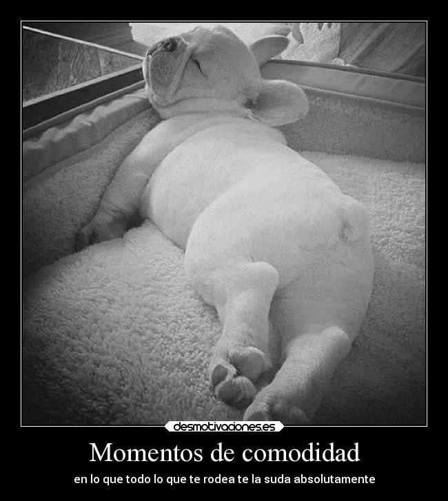 Momentos de comodidad - 