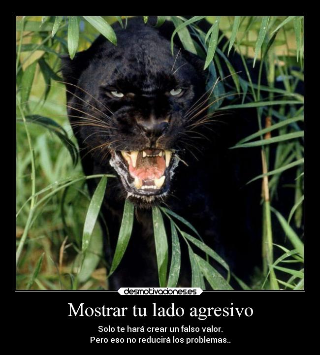 Mostrar tu lado agresivo - Solo te hará crear un falso valor.
Pero eso no reducirá los problemas..