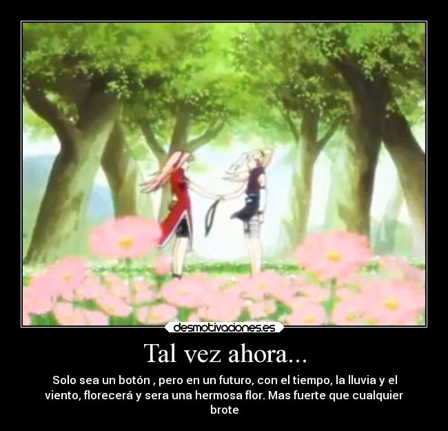 carteles confianza fuerza desmotivaciones